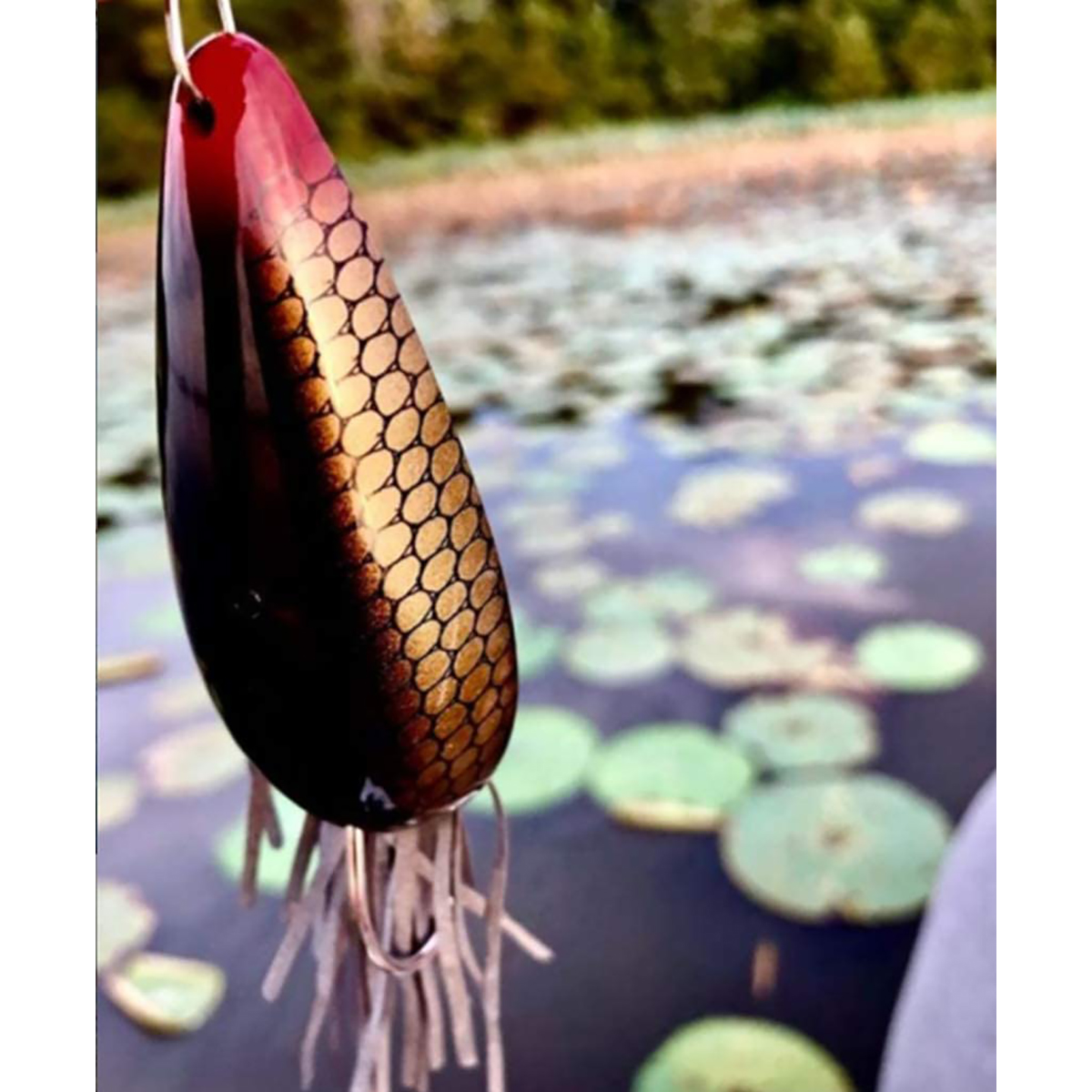 fishing rod bike holder Dirwin Color:Cinnamon Daiwa 23 Saltiga Spare Easy to attach with soft plastics