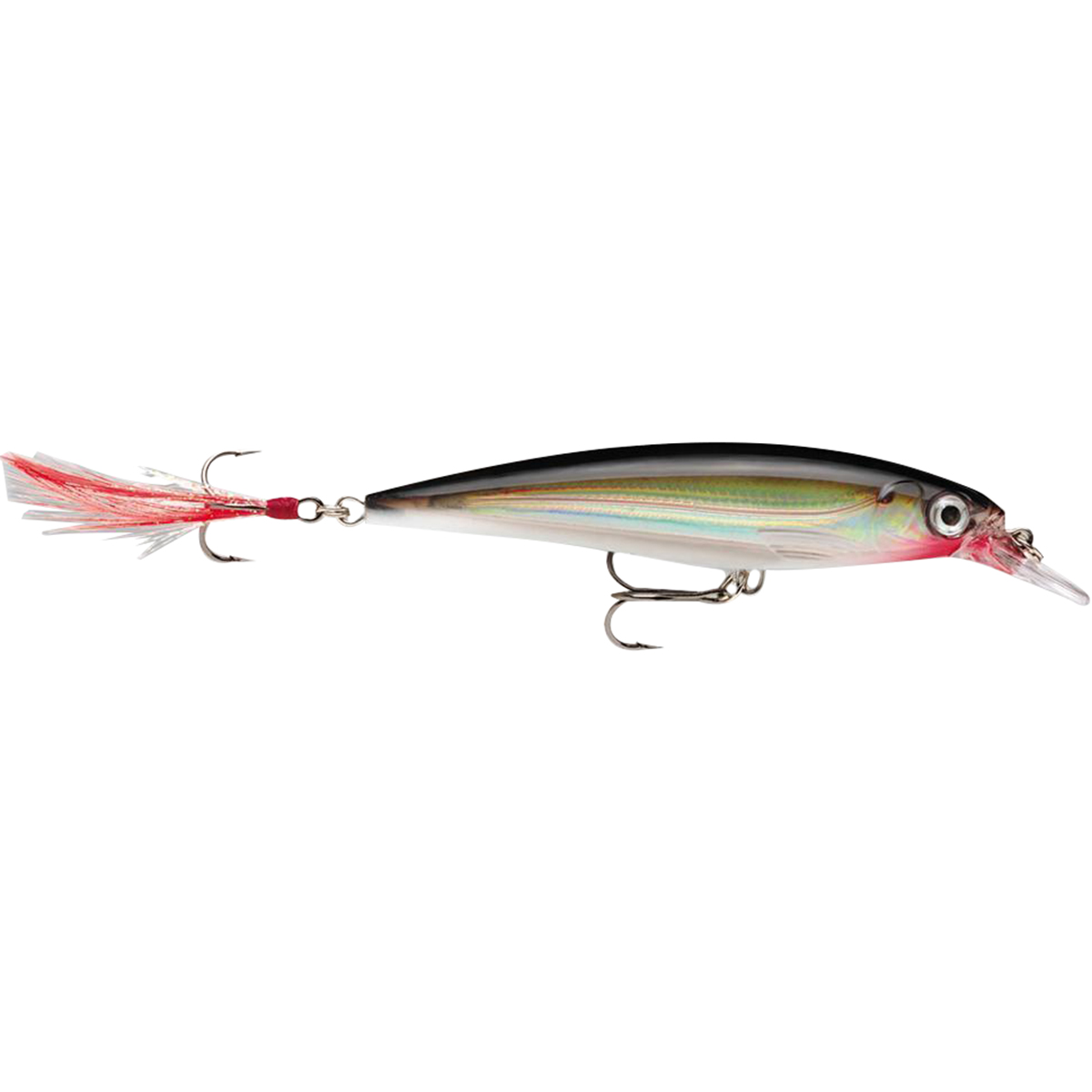 Rapala XRap 06 Fishing Lure Silver 22677154879 eBay