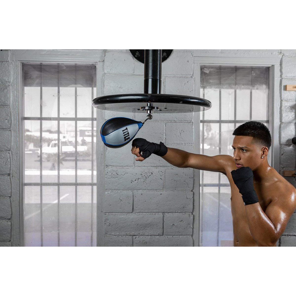 Title Boxing Platinum Perilous Speed Bag Black/Silver eBay