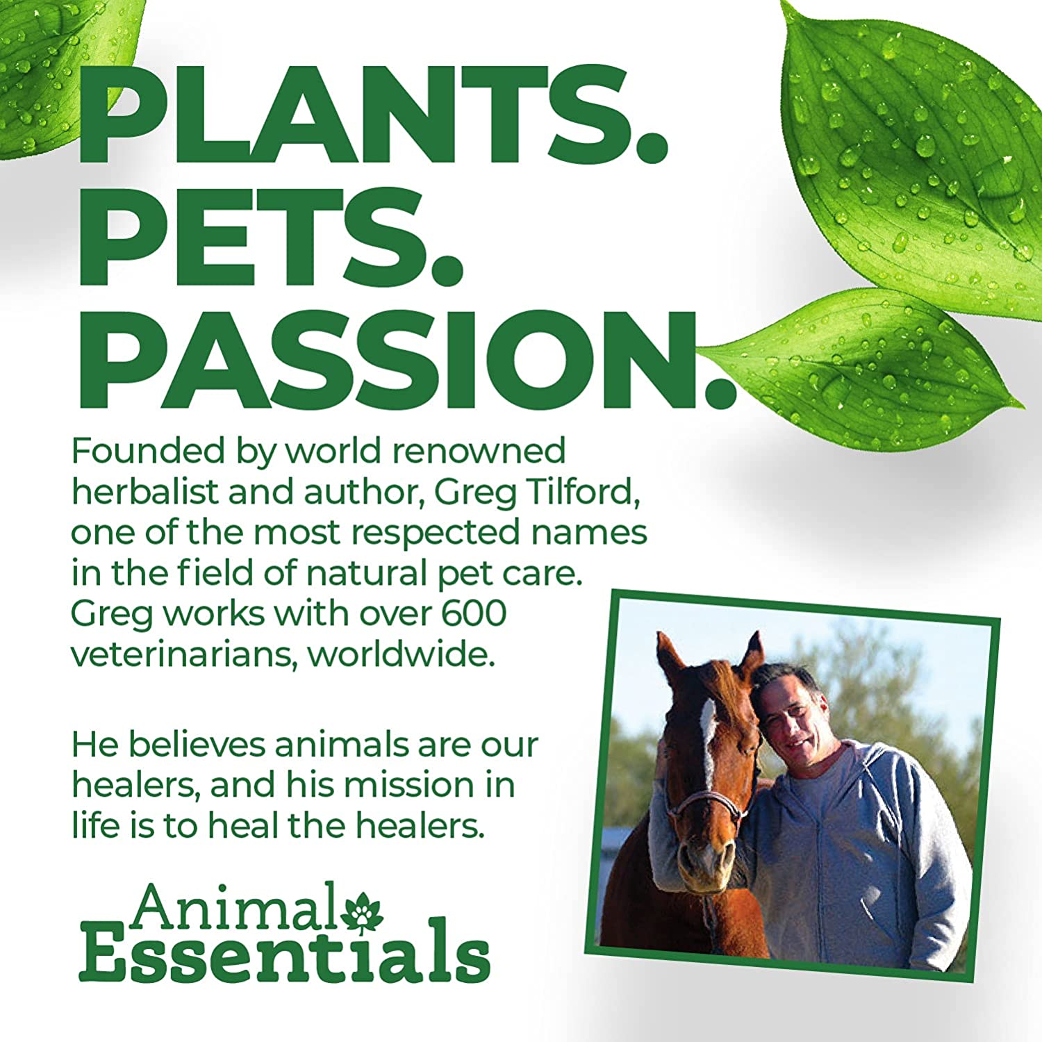 Animal Essentials Joint Health Alfalfa / Yucca Blend Dog Cat 1 ounce - Bild 5 von 8