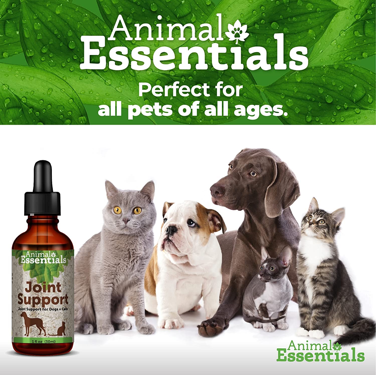 Animal Essentials Joint Health Alfalfa / Yucca Blend Dog Cat 1 ounce - Bild 8 von 8