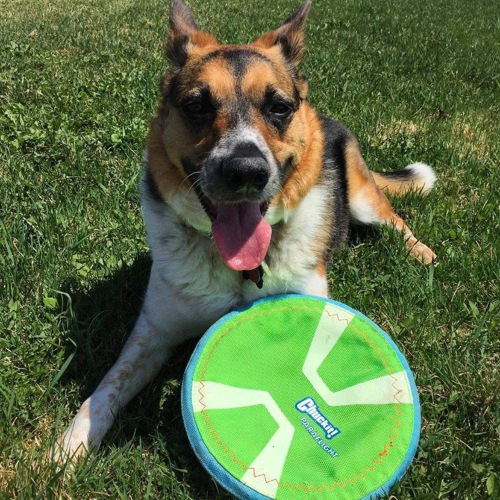 Chuckit PARAFLIGHT Dog Fetch Toy Large Frisbee Glow in the Dark 3D Rechargeable - Picture 7 of 8