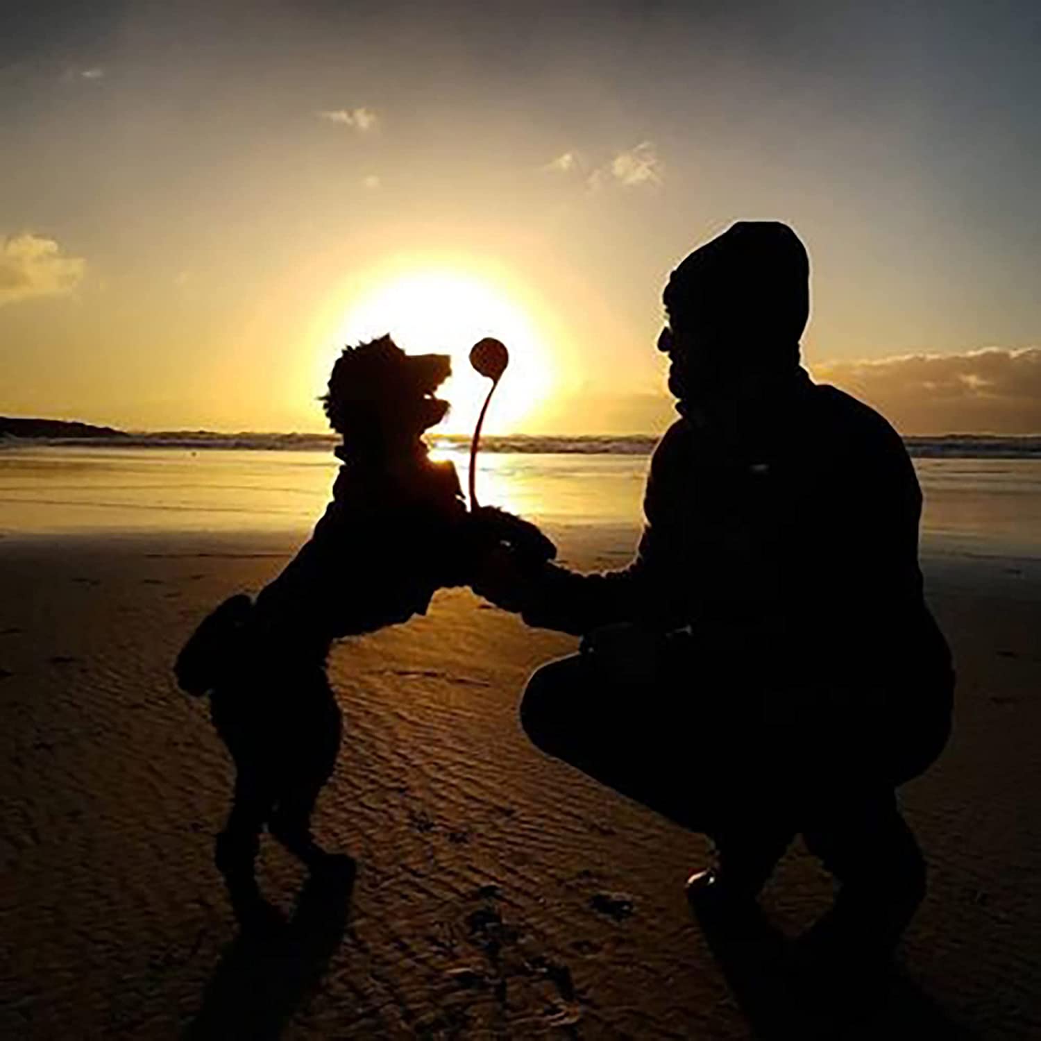 Chuckit! CLASSIC BALL LAUNCHER 26-inch For Medium Balls - Dog Fetch Toy - Picture 9 of 9