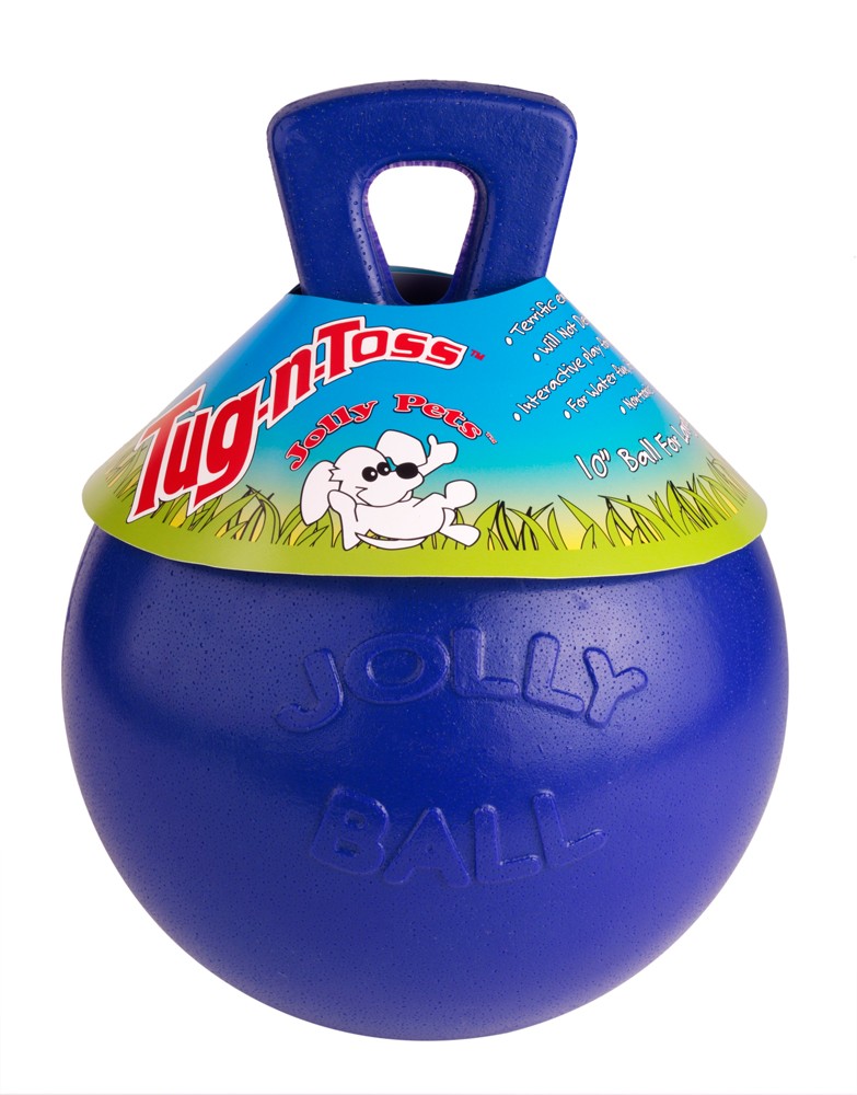 Jolly Pets Tug-N-Toss 6 inch BlueRubber Ball with Handle Chew Toy for Dogs