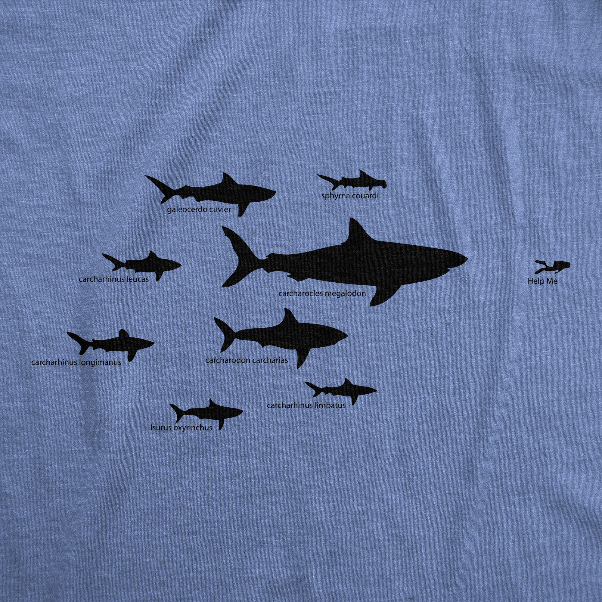 Camiseta para hombre Tiburón Jerarquía Carta Divertida Ciencia Océano Camiseta para hombres - Imagen 7 de 8