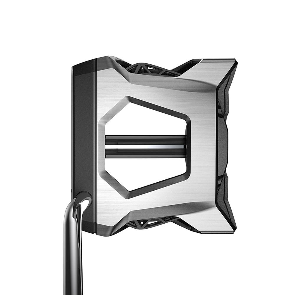 NEW Cobra Golf King 3D Printed Agera Armlock Putter 41" Choose Dexterity