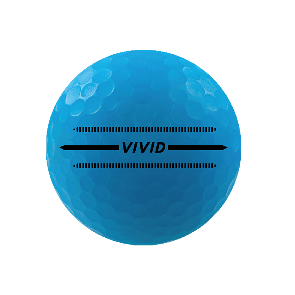 NEW Volvik Vivid Matte Golf Balls 1 Dozen 2022 - Choose Color!