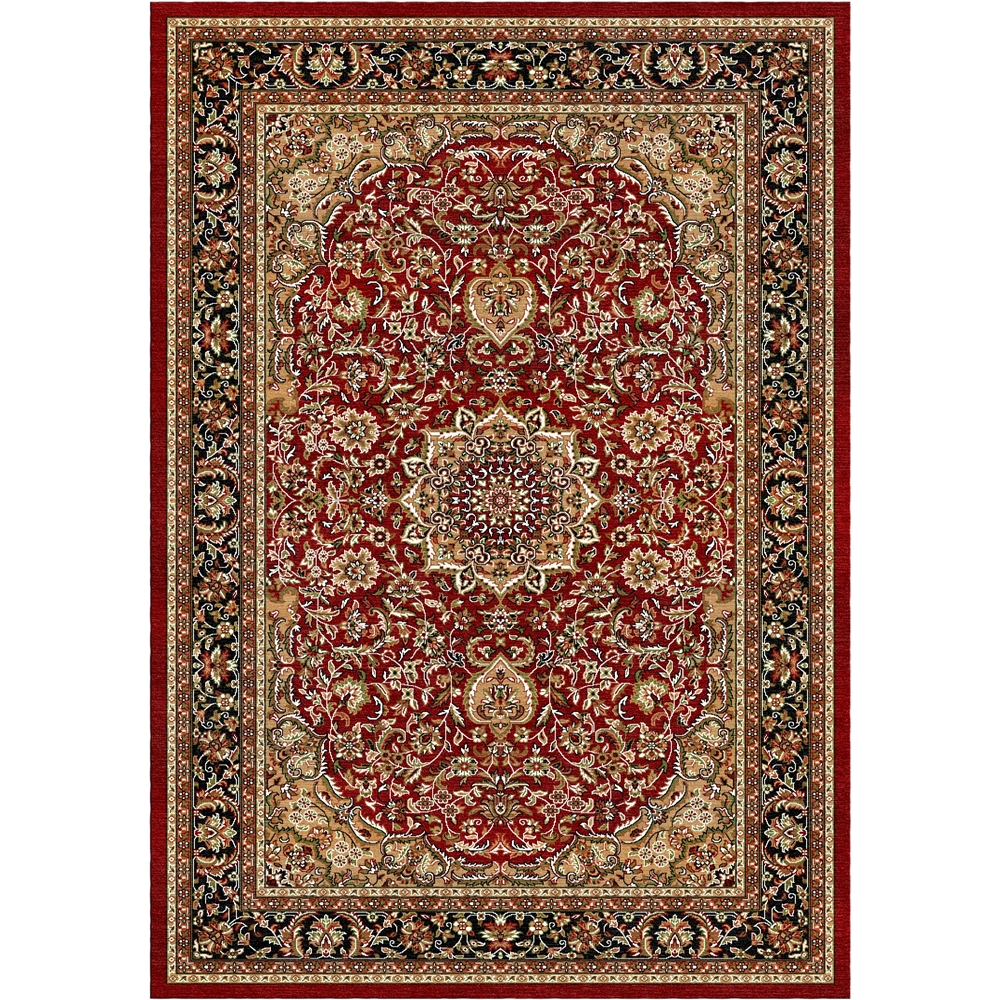 Regency Traditional Area Rug with Medallion Woven Classic Carpet Rugs