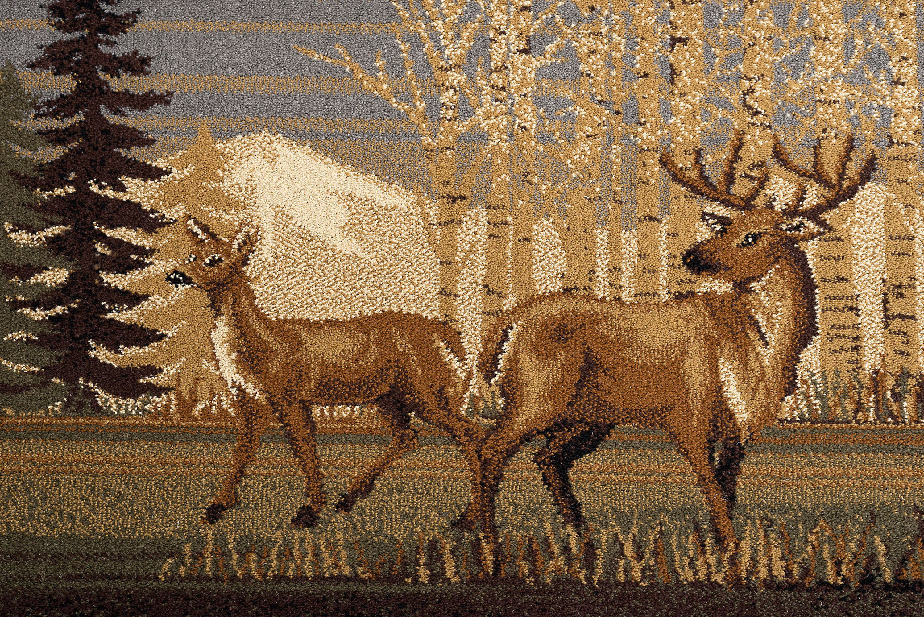 Multi Southwestern Lodge Nature Print 2x7 Runner Area Rug: Actual 2' 7" x 7' 3" - Picture 7 of 8