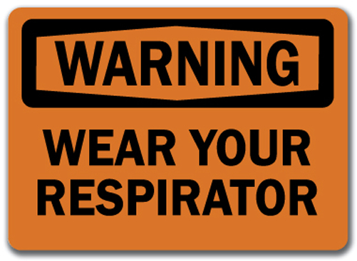main-picture