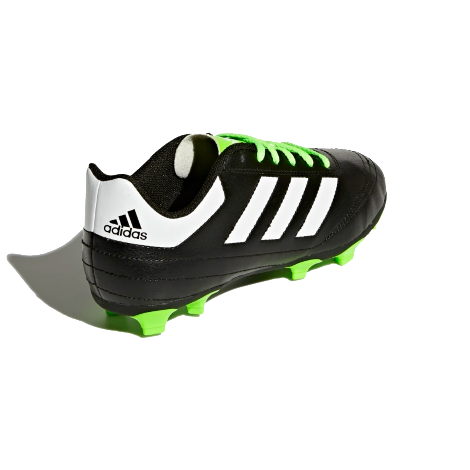 goletto 6 firm ground cleats