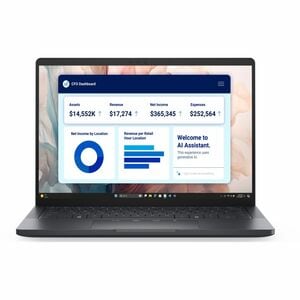 Dell Pro 13 Premium Pa13250 33.8 Cm 13.3