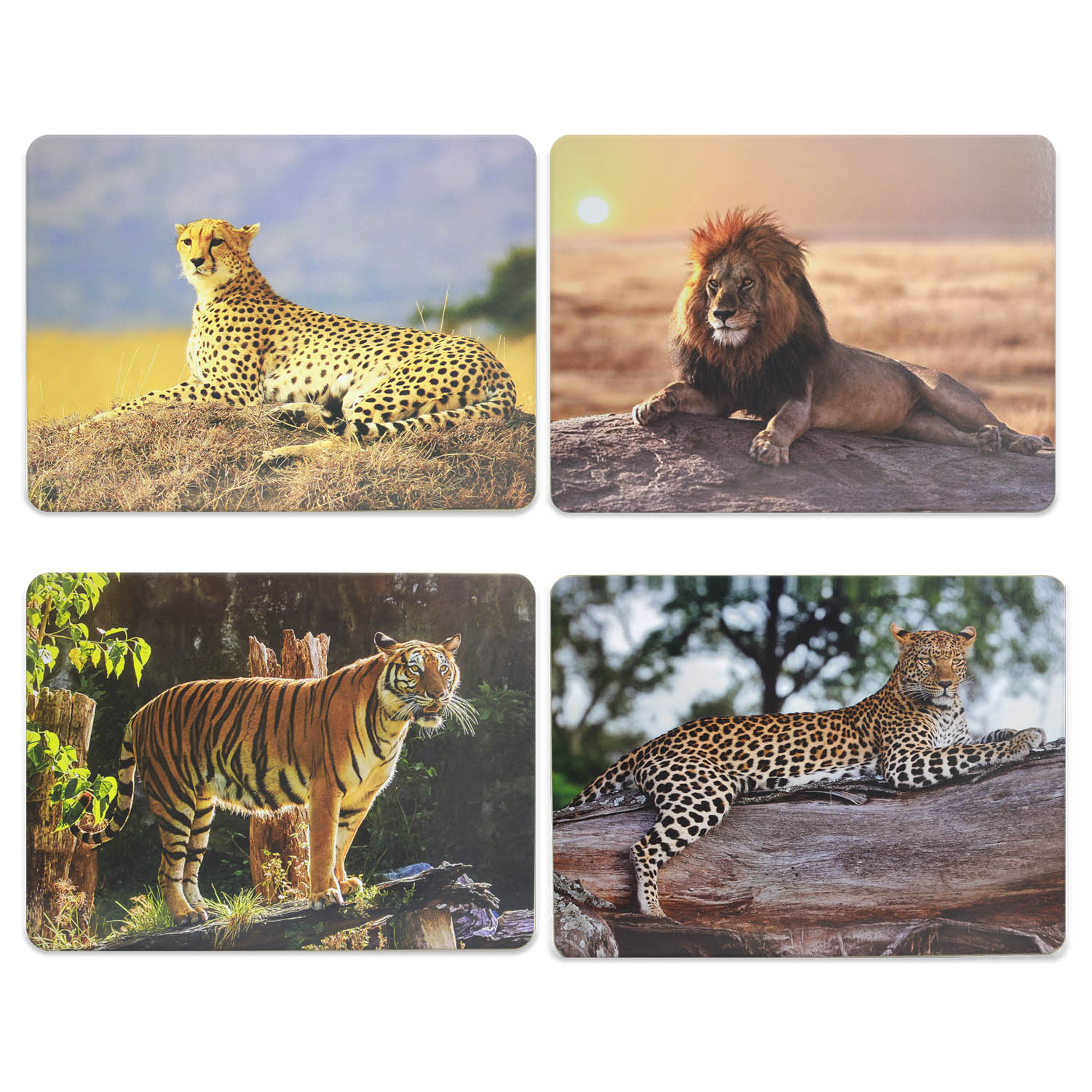 Set of 4 World Traveller Map Dinner Table Placemats Cork Backed Geography New