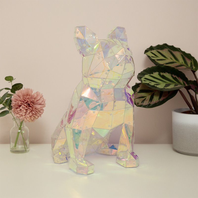 Starlightz Interactive LED Light Holographic Night Light RGB Lamp With USB & App - Picture 18 of 31