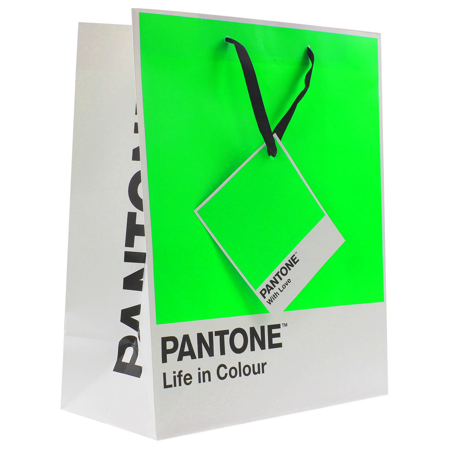 Large Bright Pink Pantone Birthday Party Wedding Loot Shop Treats Gift Paper Bag