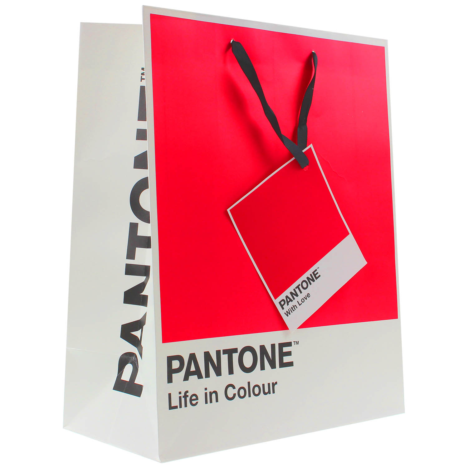 Large Bright Pink Pantone Birthday Party Wedding Loot Shop Treats Gift Paper Bag