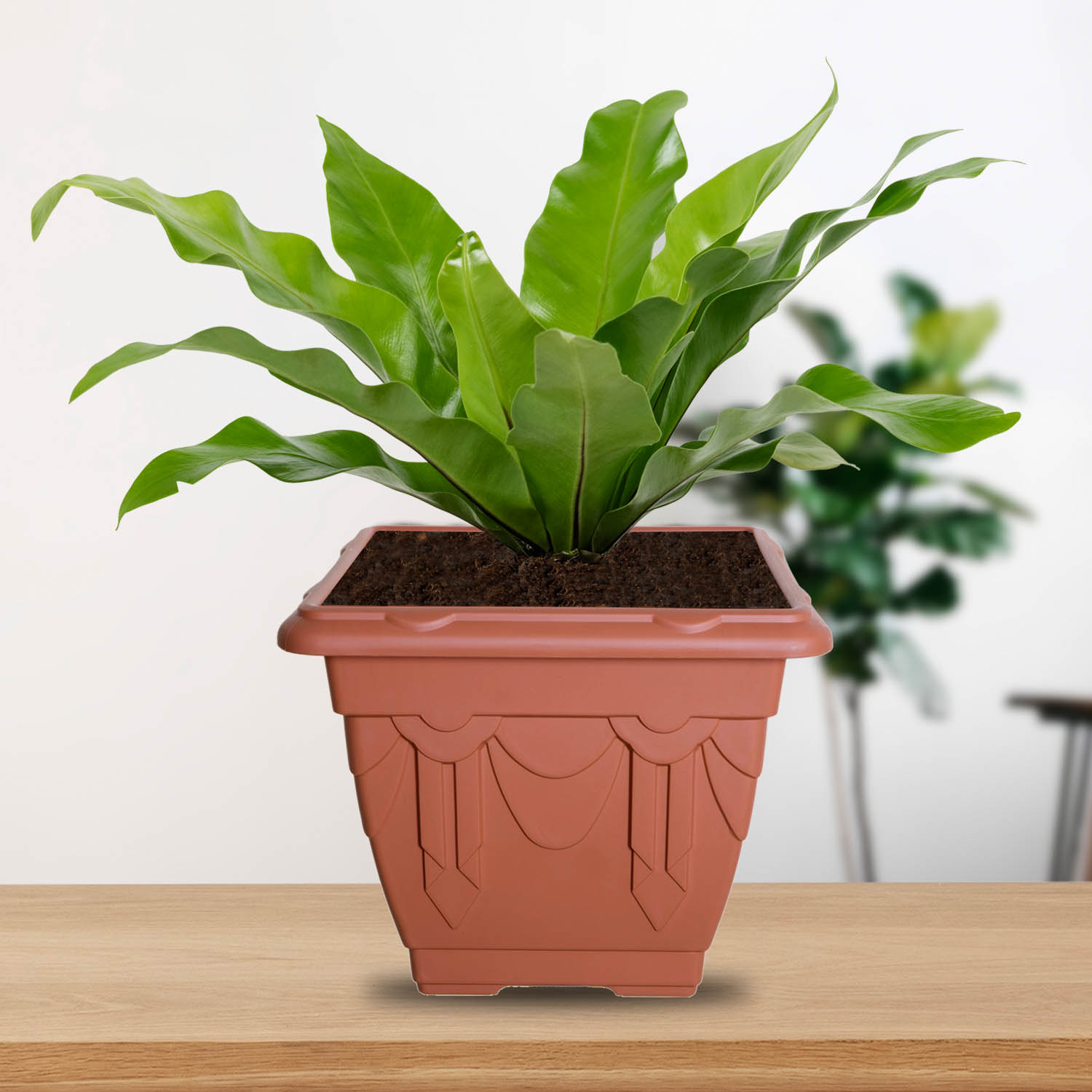 Venetian Plant Pot Garden Flower Pots Herb Planter & Saucer Tray Plants Holder - Picture 32 of 35