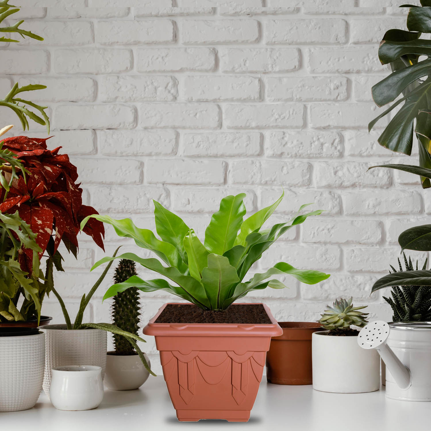Venetian Plant Pot Garden Flower Pots Herb Planter & Saucer Tray Plants Holder - Picture 28 of 35