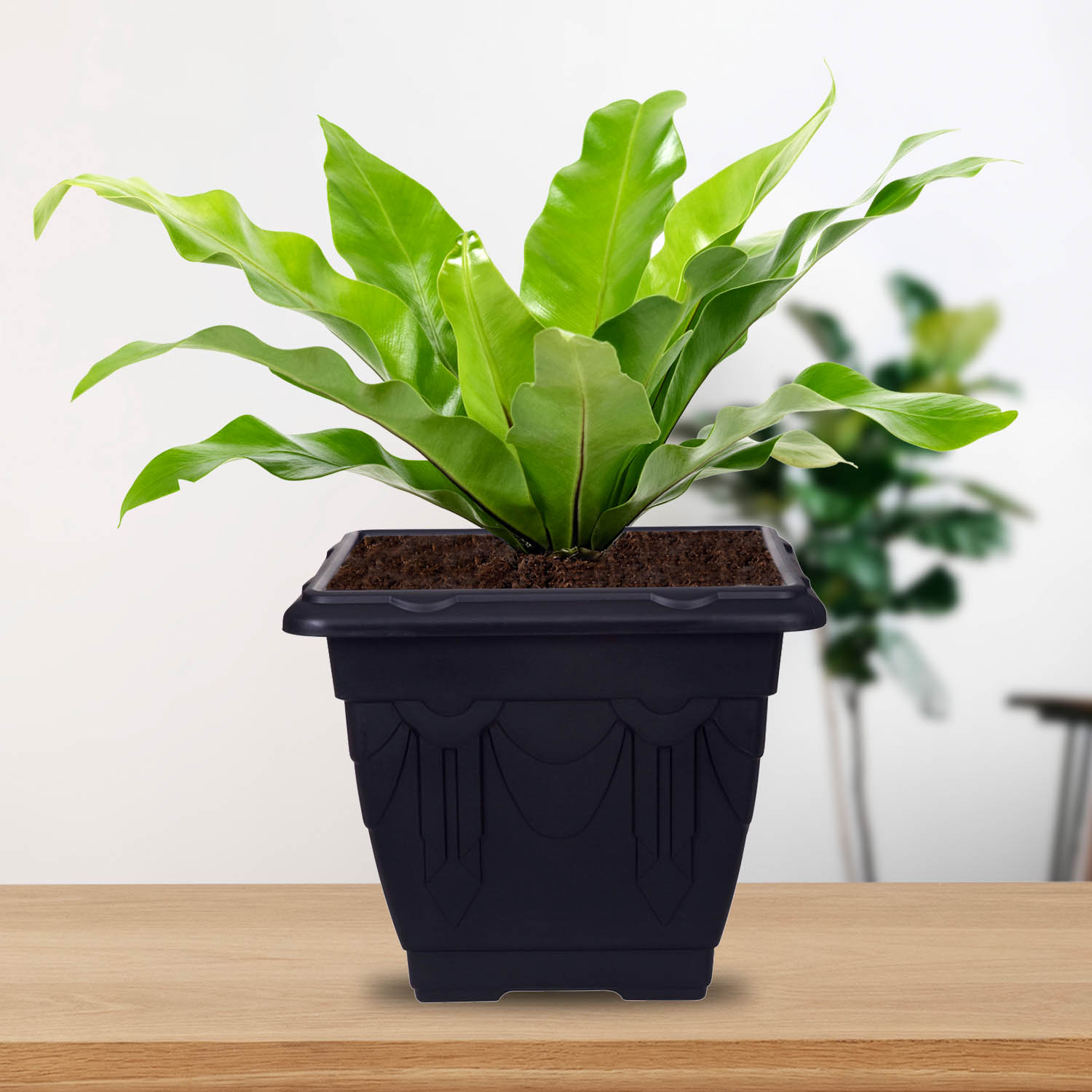Venetian Plant Pot Garden Flower Pots Herb Planter & Saucer Tray Plants Holder - Picture 12 of 35