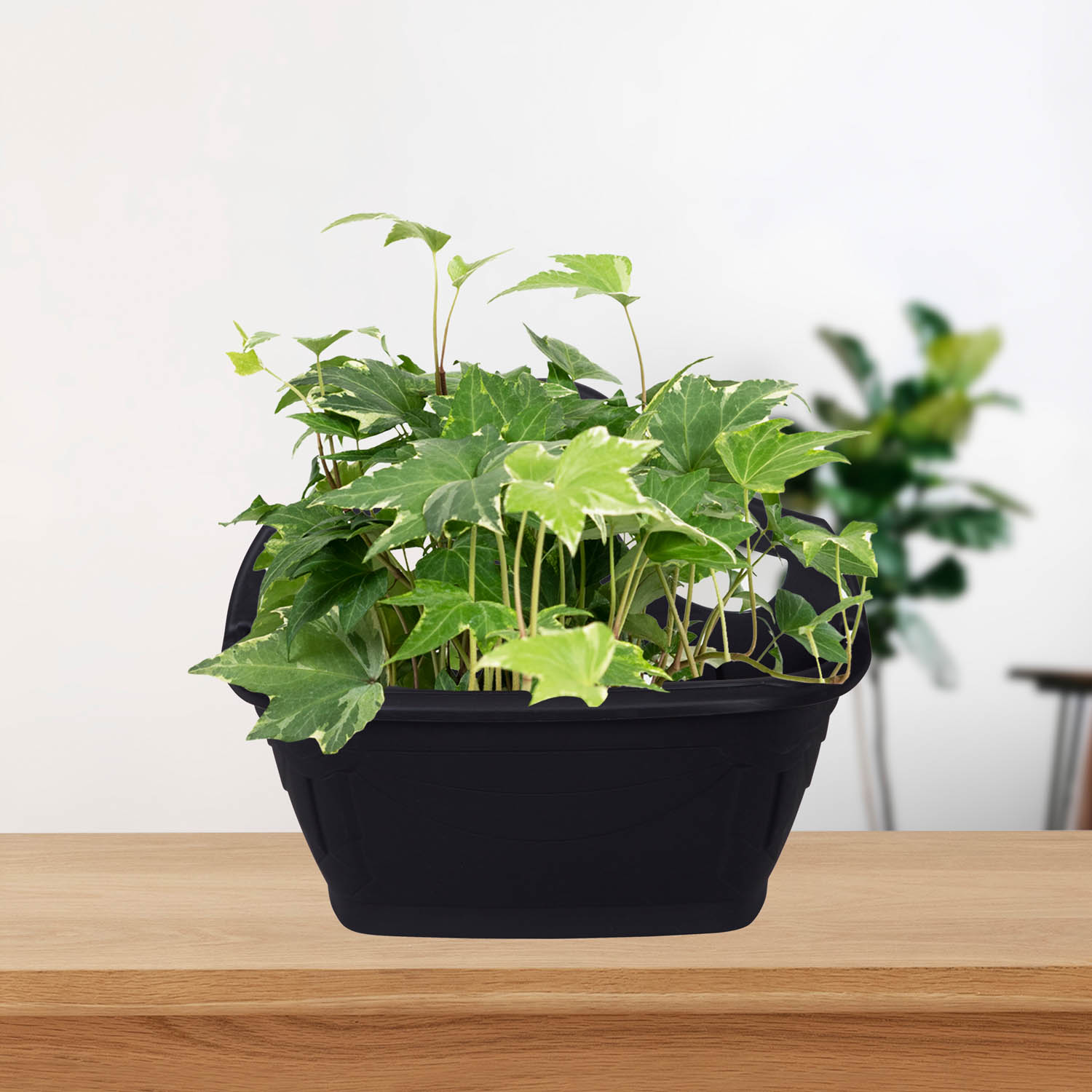 Vaso per piante e fiori Fit in plastica colore nero H 50 cm, 80 cm