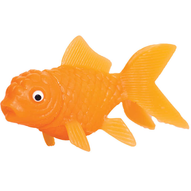 Squirting Goldfish Squirting Goldfish