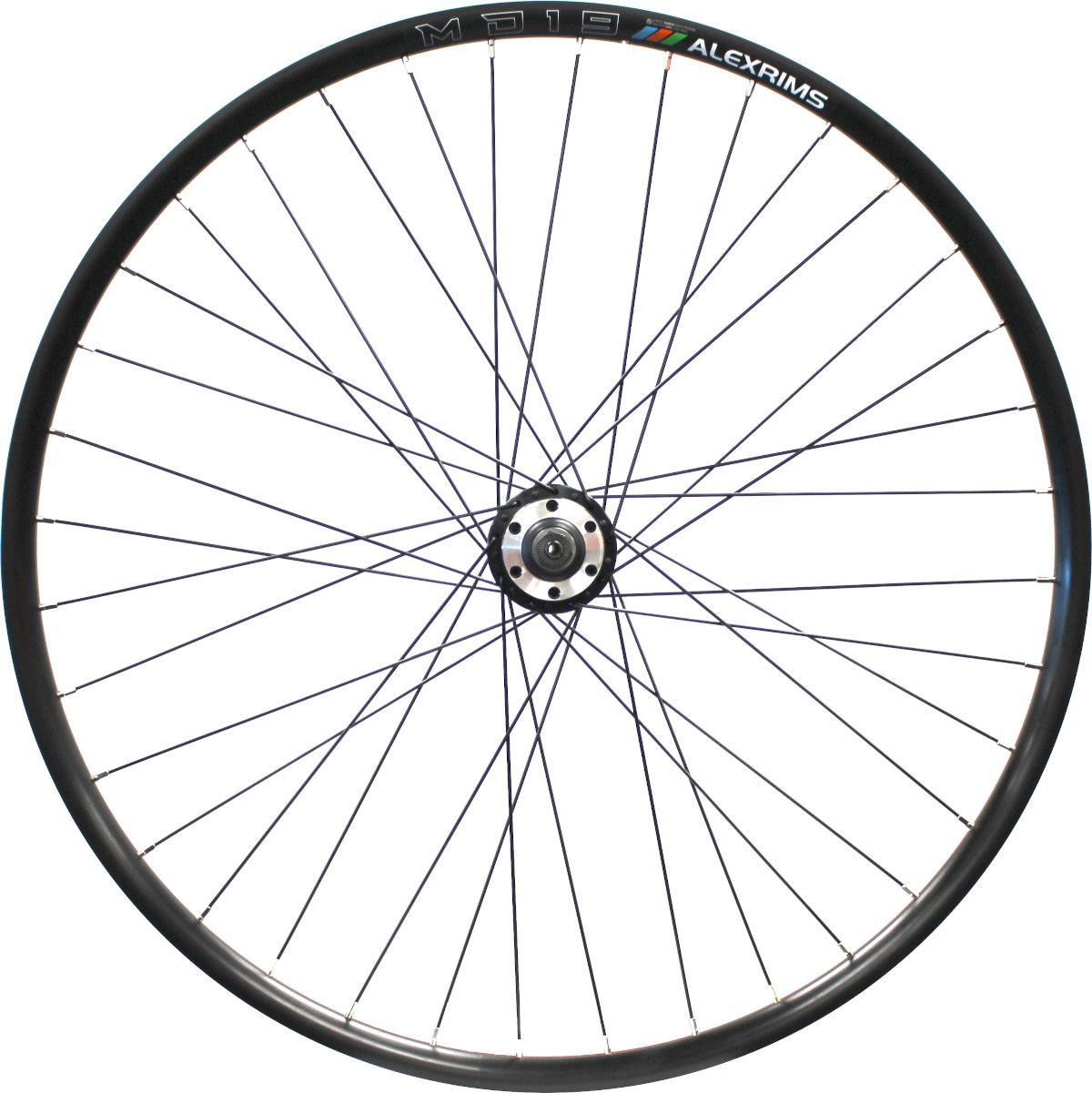 alex rims dp20 29er