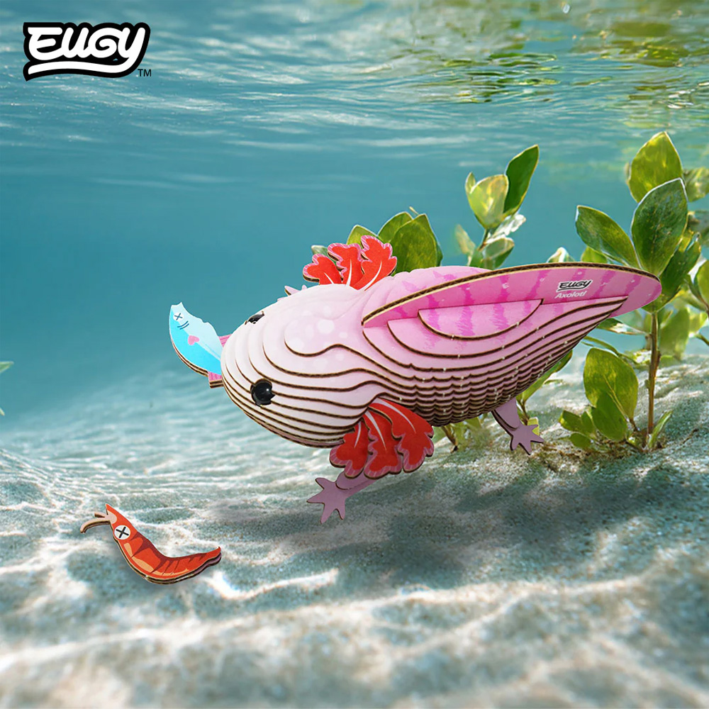 EUGY 3D Animal Model Craft Kits - Choose from HUGE Range | eBay UK