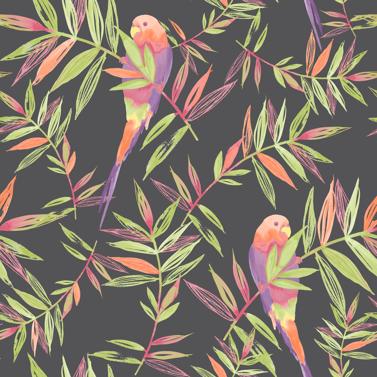 birds wallpaper tropical parrot floral leaves jungle black christmas wallpaper pattern