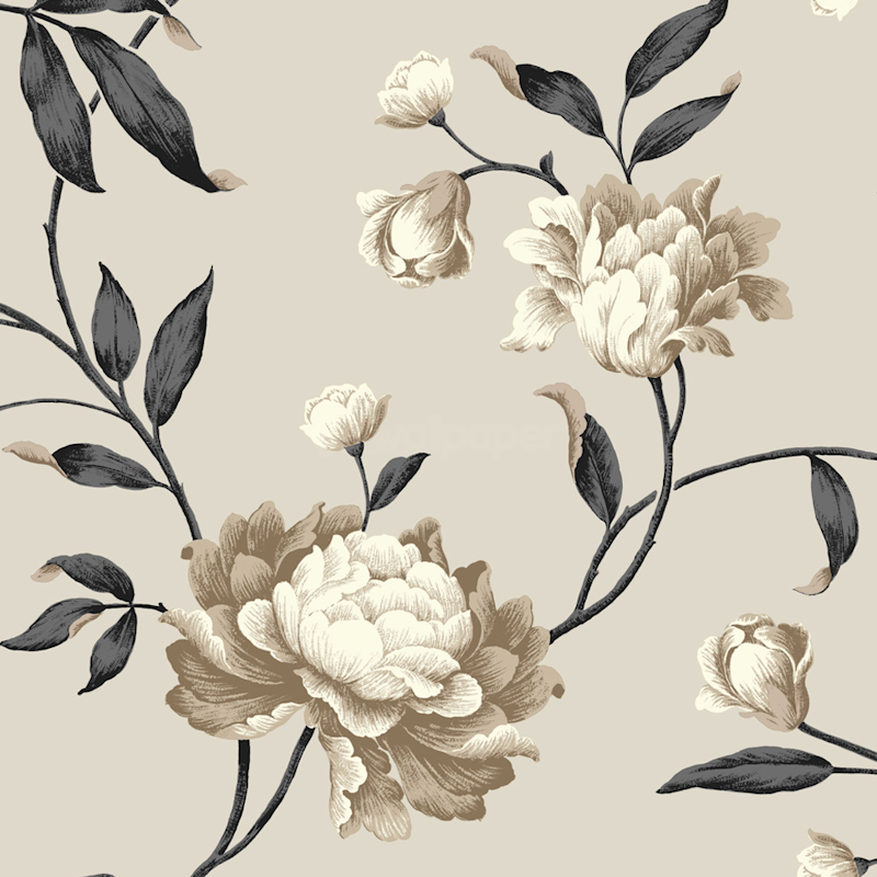 Cream Biscuit & Black Floral Design Style