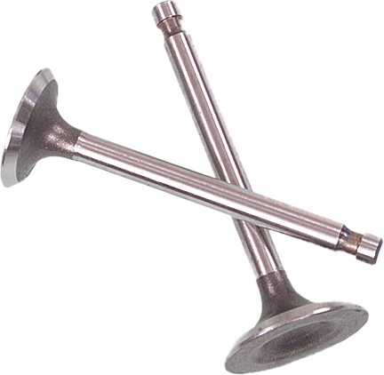 EXHAUST VALVE Fits YAMAHA KODIAK 400 YFM400A 2X4 2000 2001